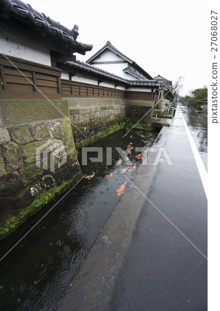 Koi游泳蒙古在城堡鎮 Koi游泳蒙古在城堡鎮 27068027