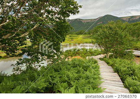 Wooden path in the Uzon Caldera. Kronotsky Nature Wooden path in the Uzon Caldera. Kronotsky Nature 27068370