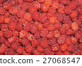 berries 27068547