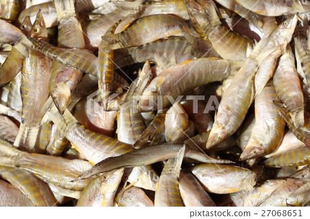 圖庫照片: dried small fish used in asian cuisine