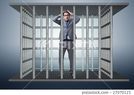 Businessman in the cage business concept Businessman in the cage business concept 27070125