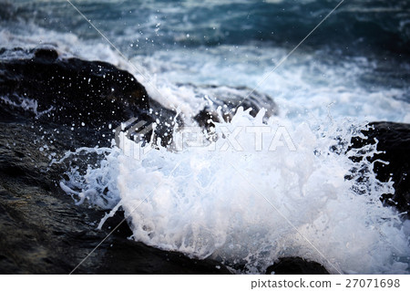 岩海花舞 27071698