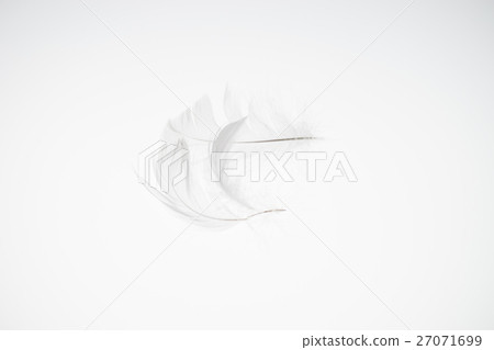 Feathers 27071699