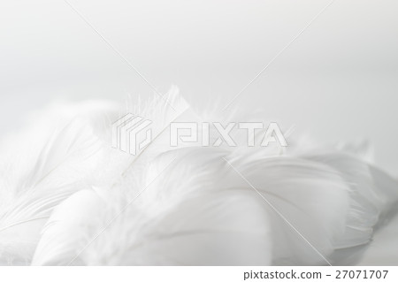 羽毛 27071707