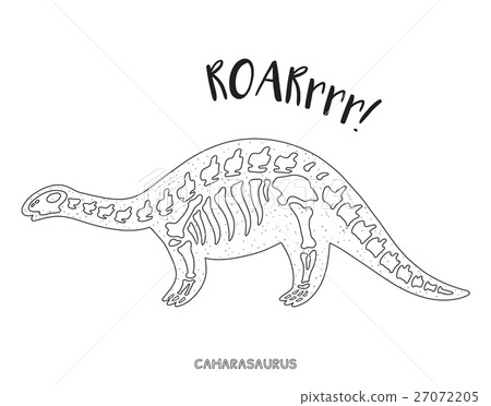 Black and white line art with dinosaur skeleton Black and white line art with dinosaur skeleton 27072205