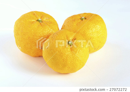 Yuzu (Yuzu) 27072272