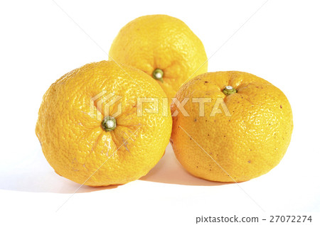 Yuzu (Yuzu) 27072274