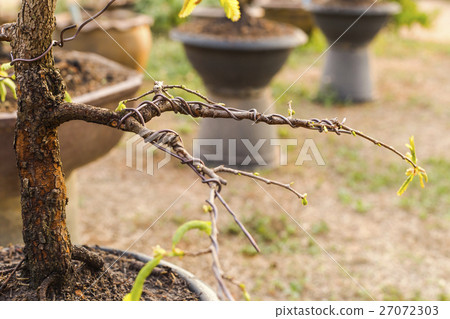 Branches of the trees were bending a metal wire. 27072303