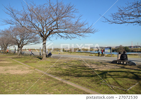 Shibamata walk: Shibamata park Edogawa super embankment 27072530