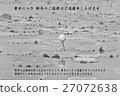 明信片，哀悼明信片，哀悼明信片（哀悼卡） 27072638