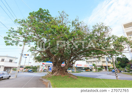 Nakamichi no 3rd Akou Nakamichi no 3rd Akou 27072765