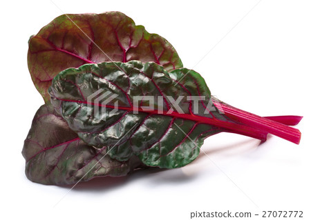 Chard (silverbeet, mangold) leaves, paths 27072772