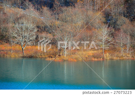 Takara秋葉 27073223