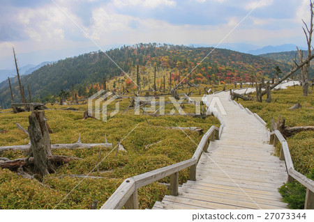 從木板路上看到的Masakigahara 從木板路上看到的Masakigahara 27073344
