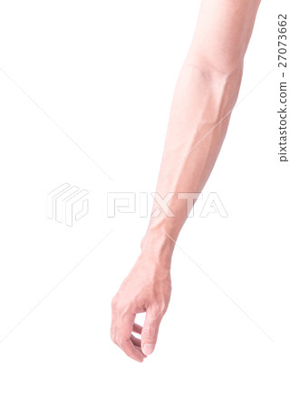 Man arm with blood veins on white background Man arm with blood veins on white background 27073662