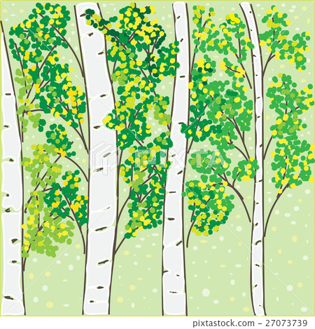 Autumn birch grove Autumn birch grove 27073739