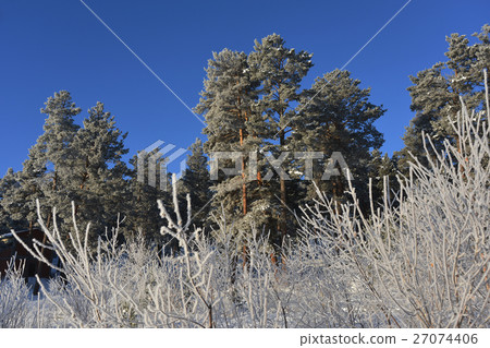 clear winter day clear winter day 27074406