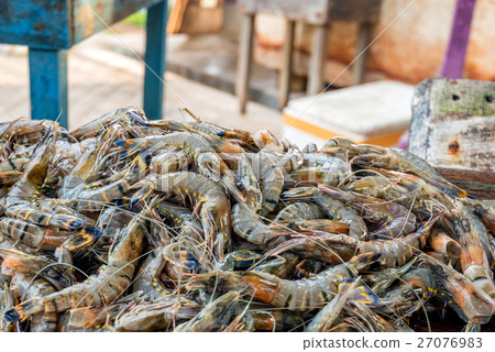 照片素材(图片): tiger prawns at asian fishmarket