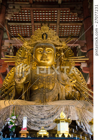 Todaiji Tadanori浣熊形象 27077231