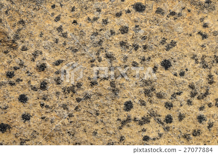 Rough brown stone texture 27077884