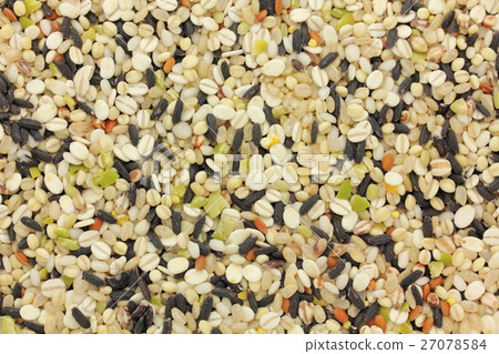 Millet 16 cereals 27078584