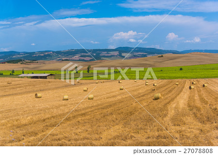 Summer landscape of Orcia valley 27078808