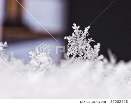 冬季雪花 冬季雪花 27082268