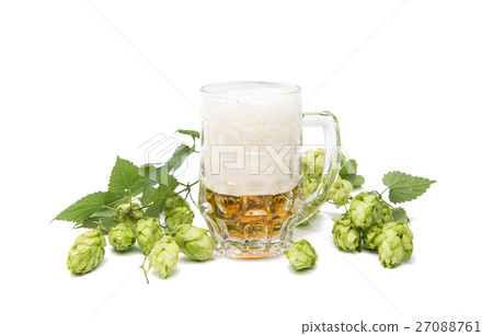 hop cones with a beer hop cones with a beer 27088761