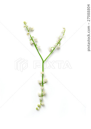 English letter Y in the alphabet of flowers bells English letter Y in the alphabet of flowers bells 27088804