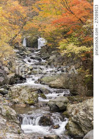 Flow and autumnal leaves of Okutane no Sawa 27089813