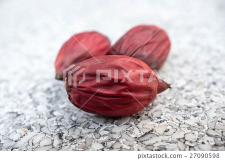 fruit of lipstick palm or sealing-wax palm 27090598