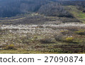 High landscape 27090874