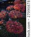 Autumn flowers 27090878