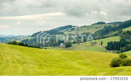 Scene of black forest in Germany 27091016