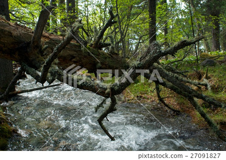 River amongst stone in valley mountains 27091827