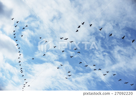 Formation flight of Magan 27092220