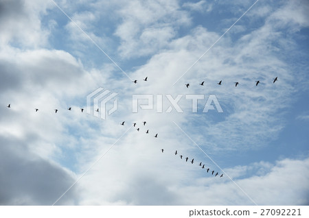 馬根編隊飛行 馬根編隊飛行 27092221