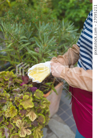 Gardening image / photography cooperation: TENOHA DAIKANYAMA 27095211