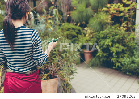 Gardening image / photography cooperation: TENOHA DAIKANYAMA Gardening image / photography cooperation: TENOHA DAIKANYAMA 27095262