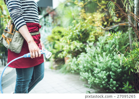 Gardening image / photography cooperation: TENOHA DAIKANYAMA 27095265
