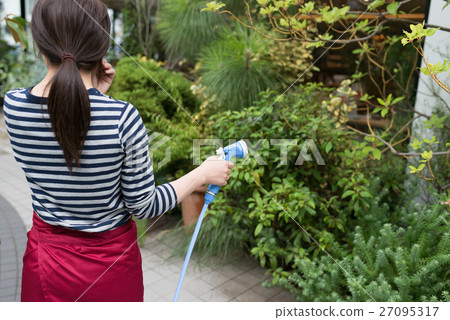 Gardening image / photography cooperation: TENOHA DAIKANYAMA 27095317