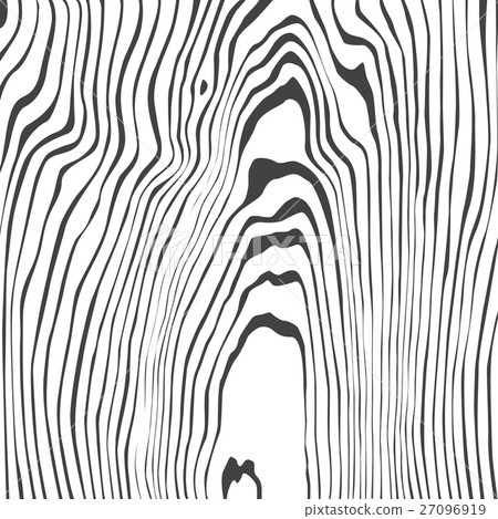vector monochrome wood texture. vector monochrome wood texture. 27096919