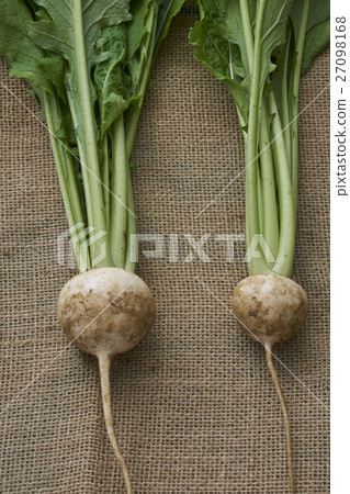 新鮮農產品 27098168