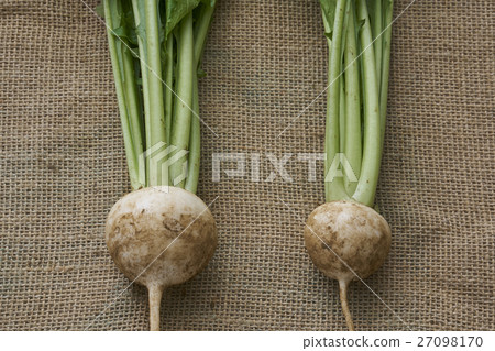 新鮮農產品 新鮮農產品 27098170