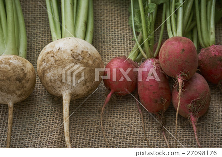新鮮農產品 新鮮農產品 27098176