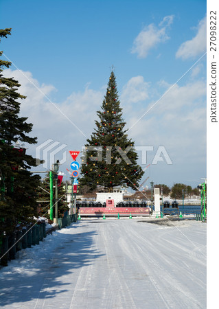 Big Christmas tree 27098222