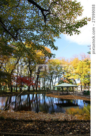 Wild bird forest of Tsukayama Park 27099088