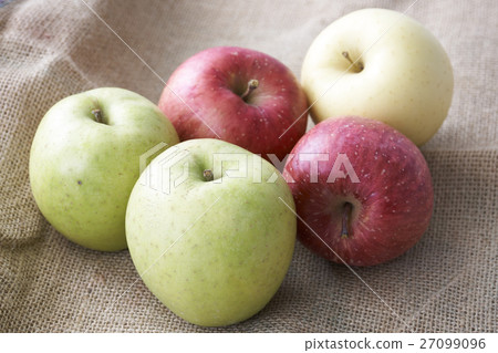 Shiba apples 27099096