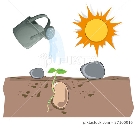 Plant growing from underground 27100016