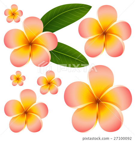 Seamless background design with colorful flowers Seamless background design with colorful flowers 27100092